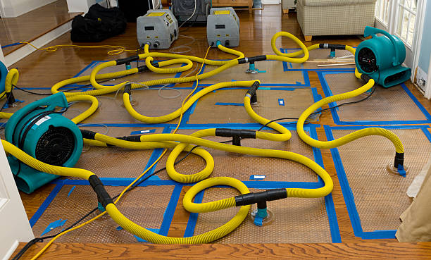 Professional Structural Drying And Dehumidification technician working in Winton, CA